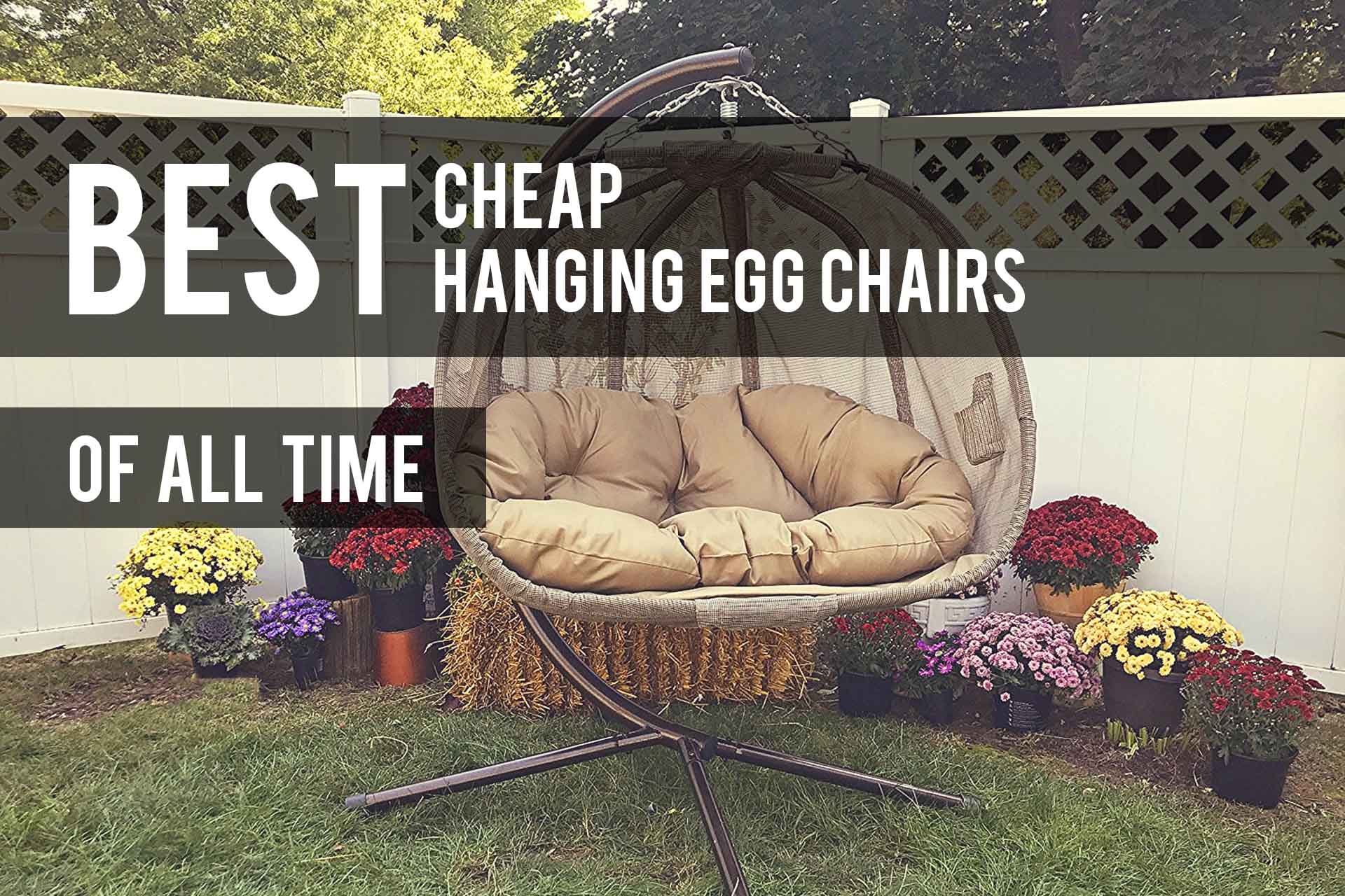 Cheap Hanging Egg Chairs